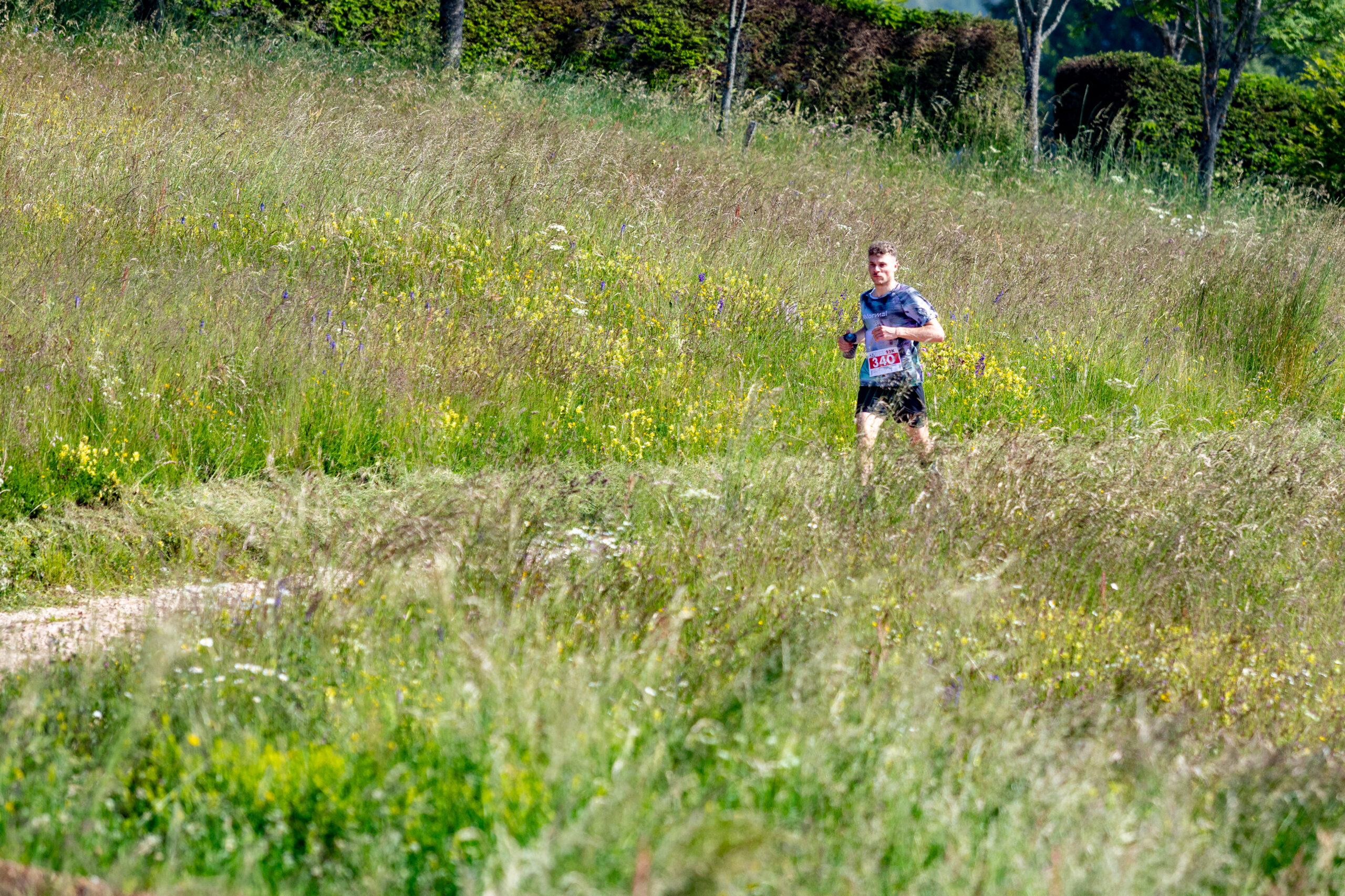 ©echialessandrosogne-109