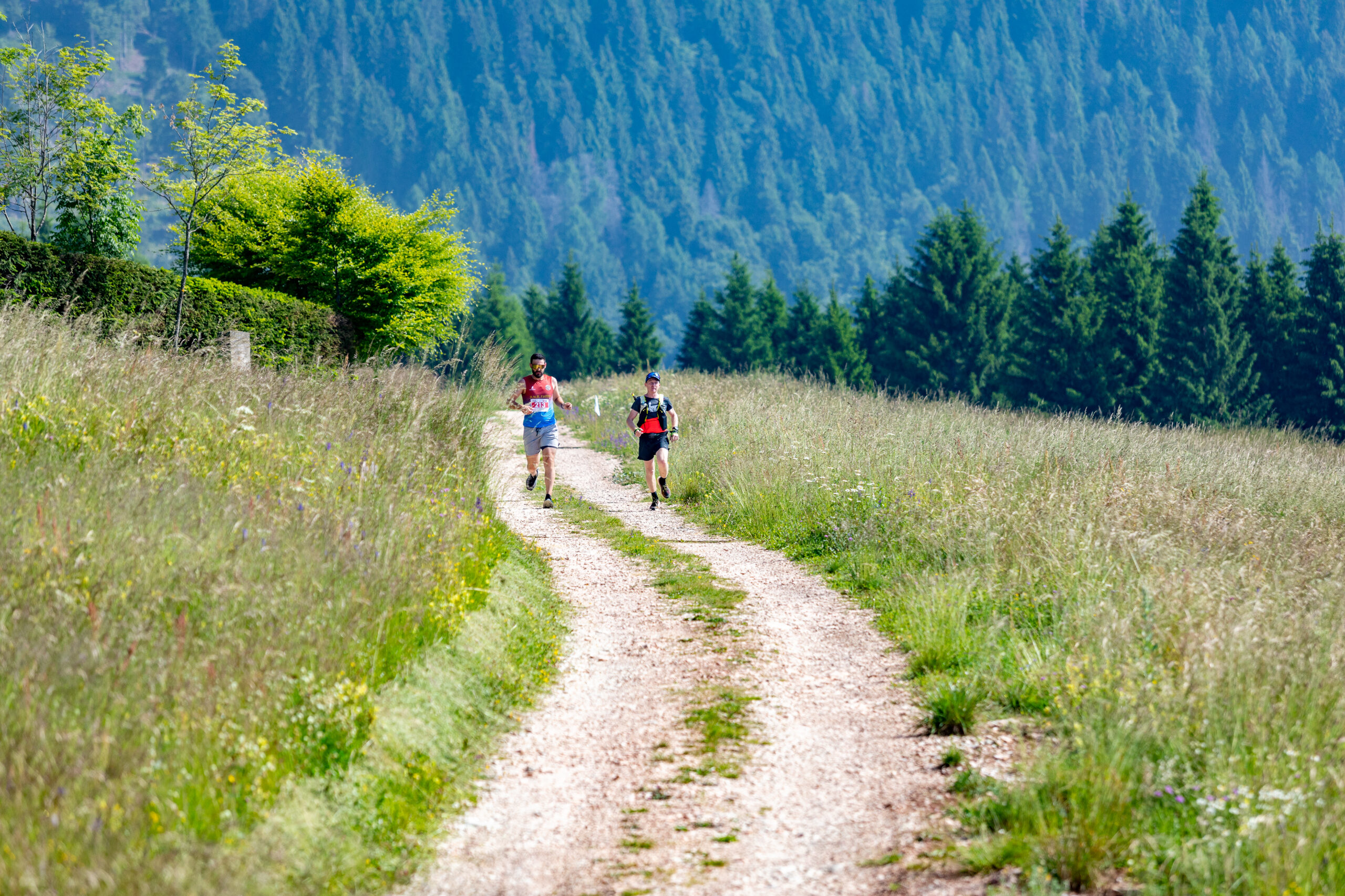 ©echialessandrosogne-119