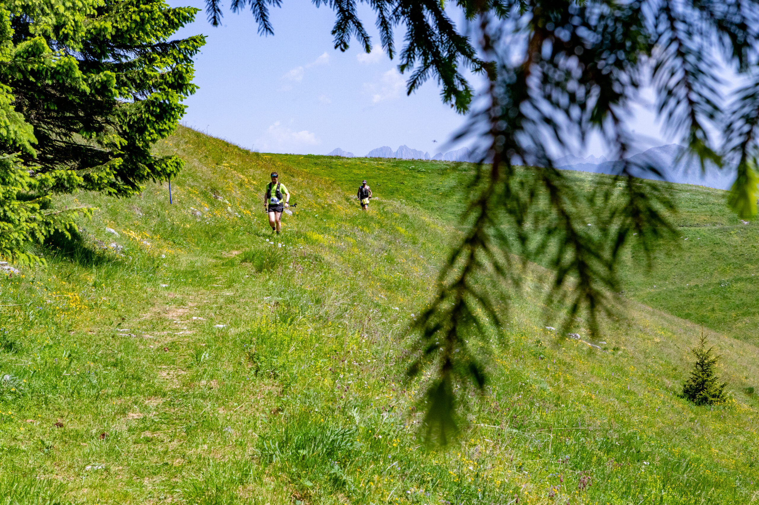 ©echialessandrosogne-165