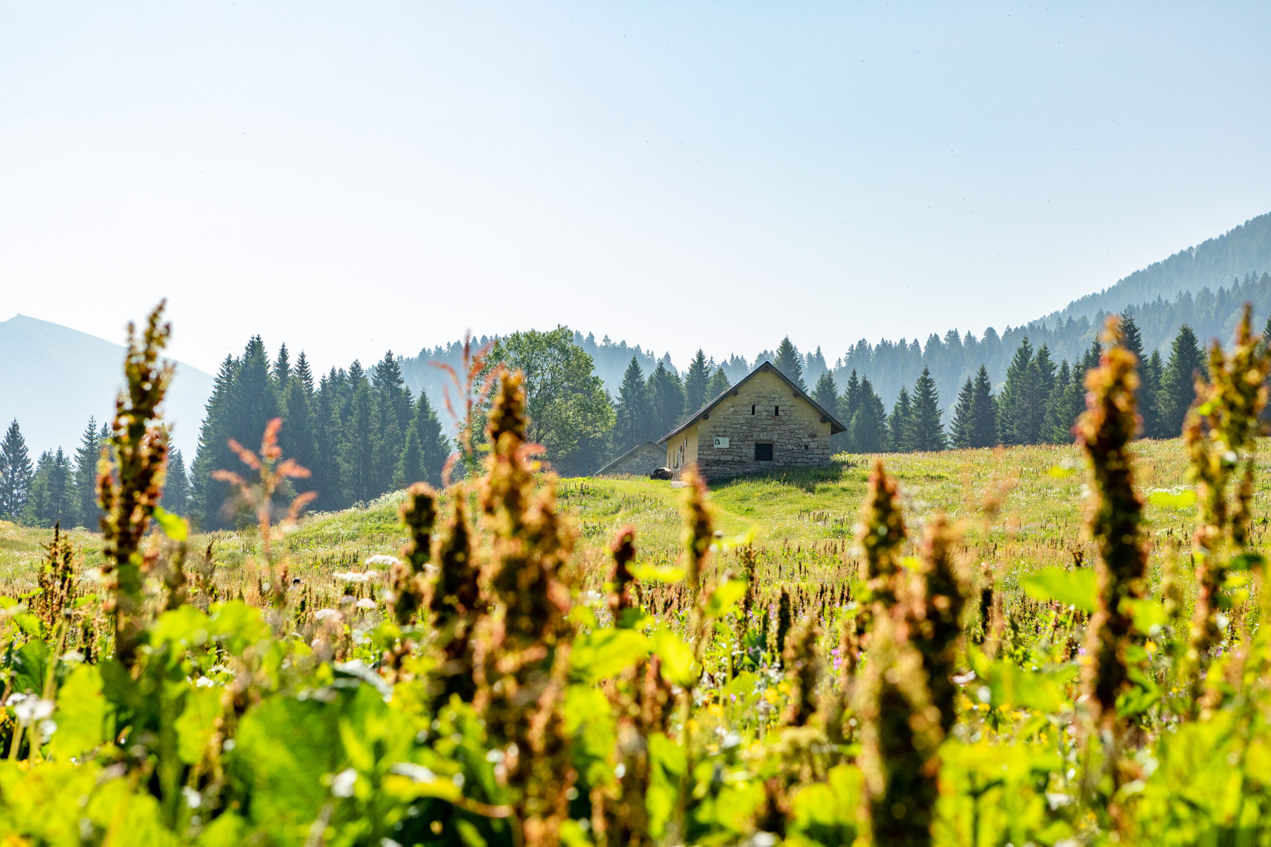 ©echialessandrosogne-62