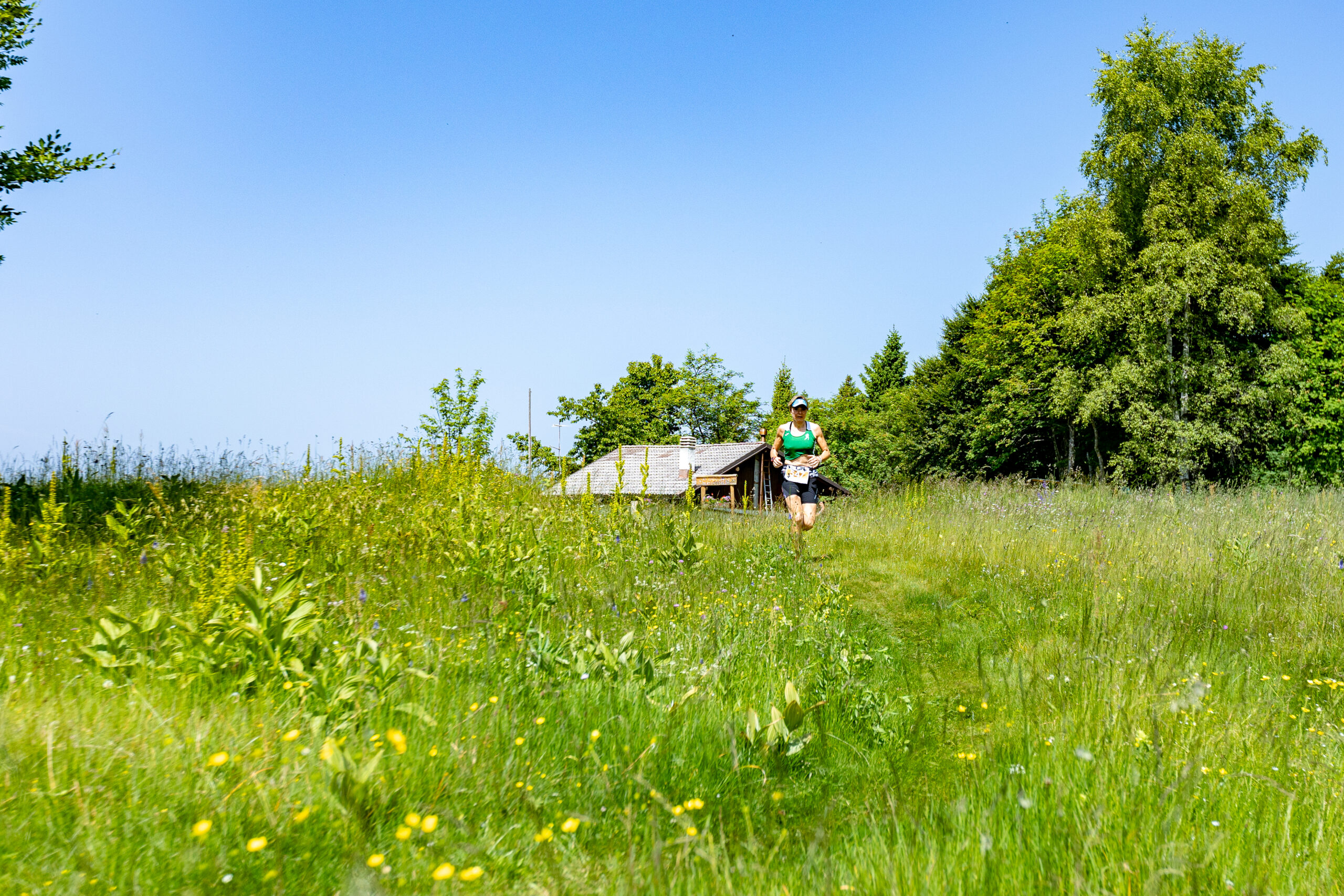 ©echialessandrosogne-79