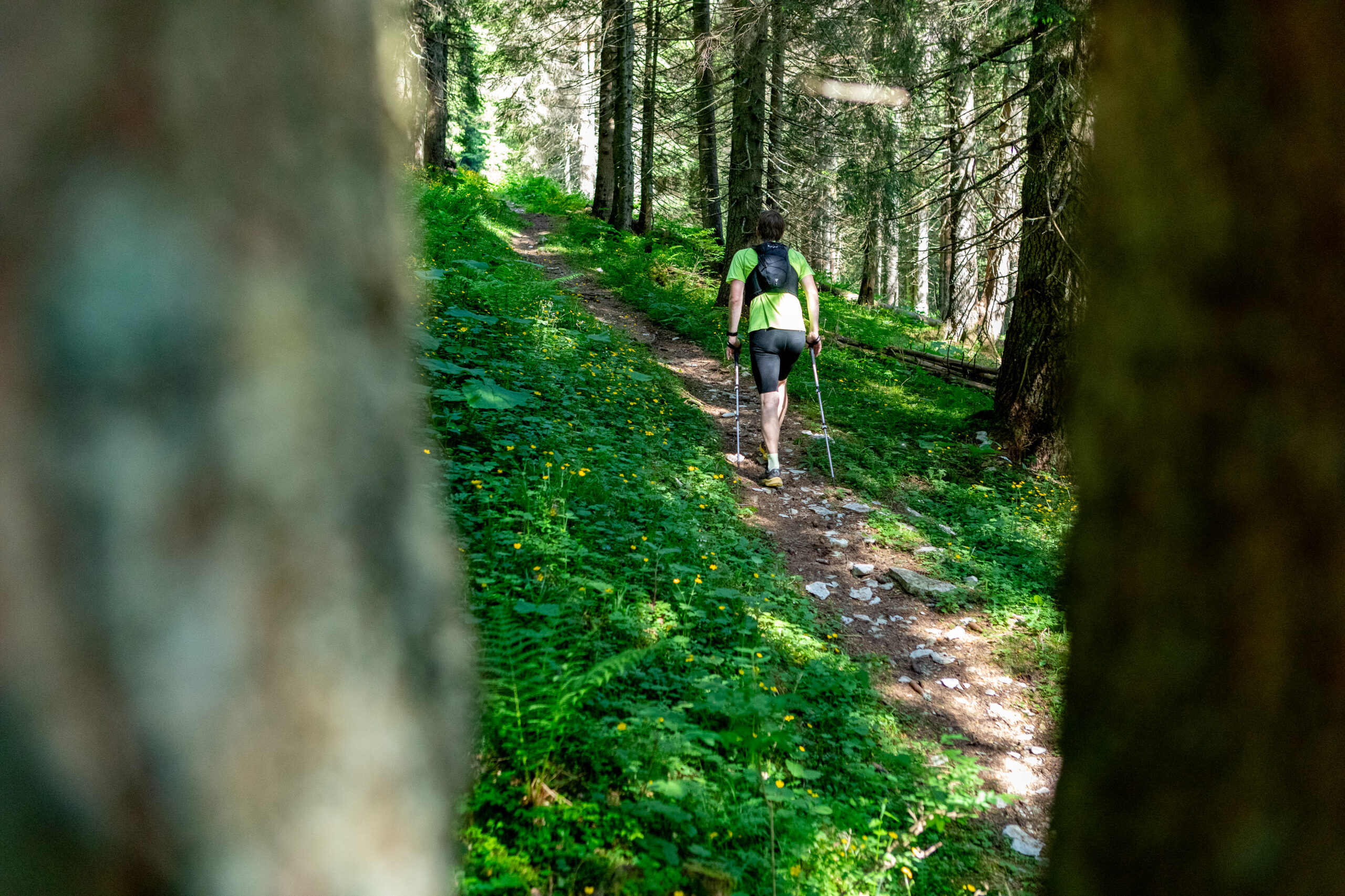 ©echialessandrosogne-98